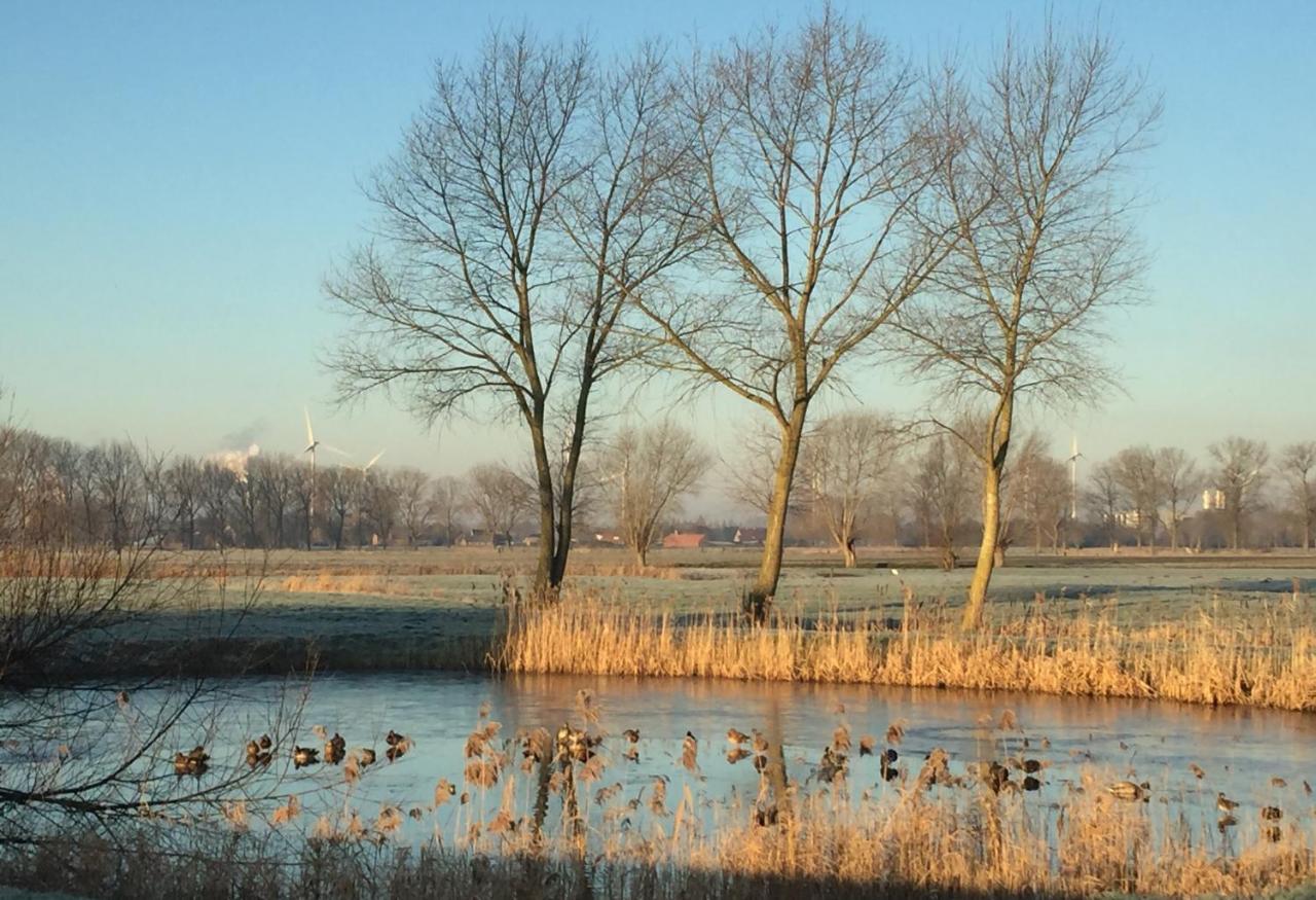 Logies De Meerkoet Brujas Exterior foto