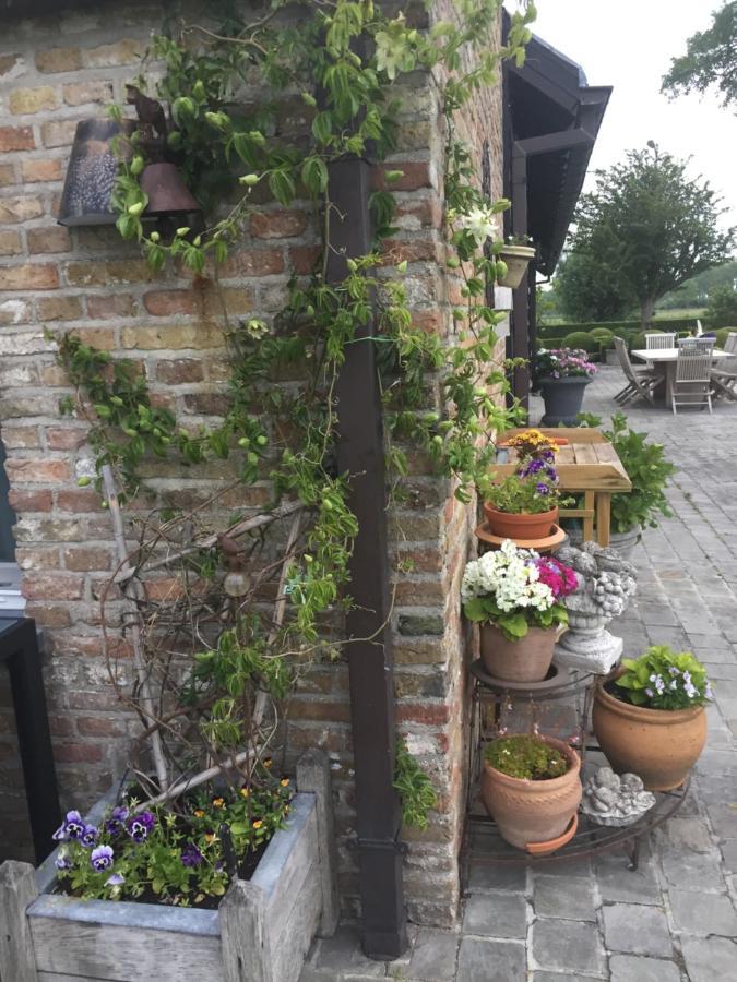 Logies De Meerkoet Brujas Exterior foto
